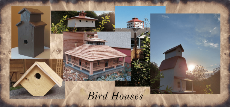 Bird Houses cover min 768x358